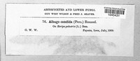 Image Associated With the Occurence